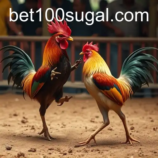 Understanding Sabong Games